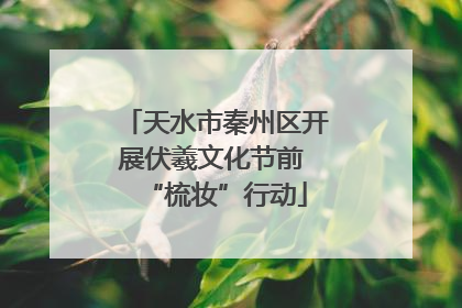 天水市秦州区开展伏羲文化节前 “梳妆”行动